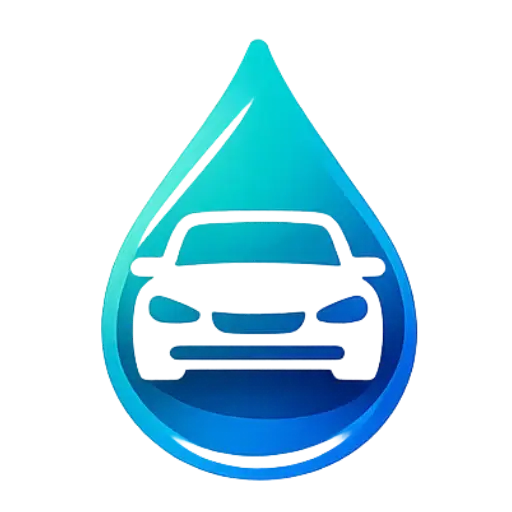 Lavage auto à domicile Morbier